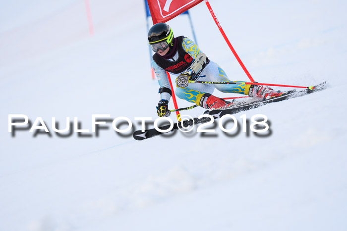 Int. FIS Rennen Damen, RS, Maria Alm 09.01.2018