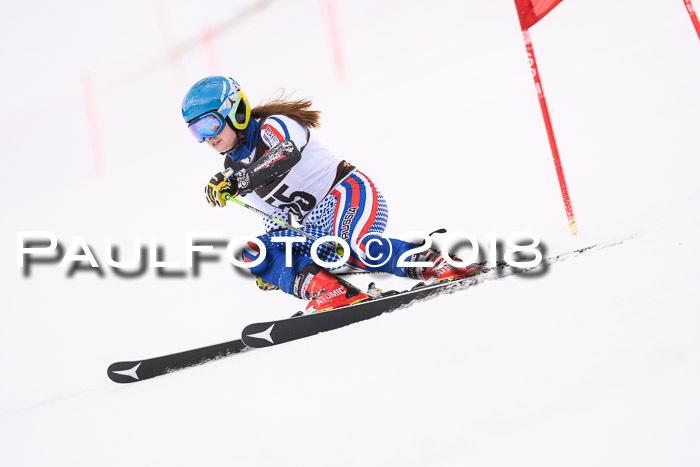 Int. FIS Rennen Damen, RS, Maria Alm 09.01.2018