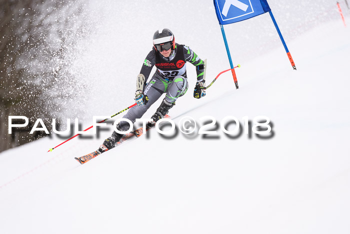 Int. FIS Rennen Damen, RS, Maria Alm 09.01.2018