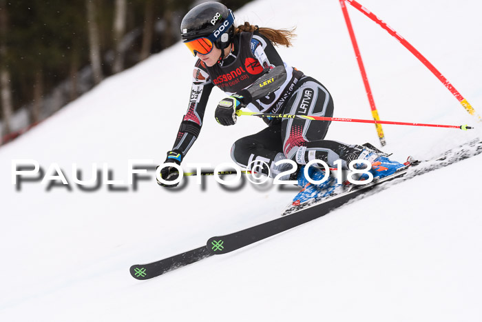 Int. FIS Rennen Damen, RS, Maria Alm 09.01.2018