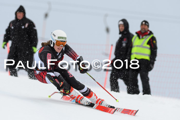 Int. FIS Rennen Damen, RS, Maria Alm 09.01.2018