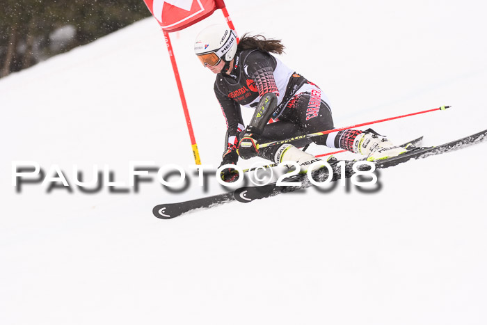 Int. FIS Rennen Damen, RS, Maria Alm 09.01.2018