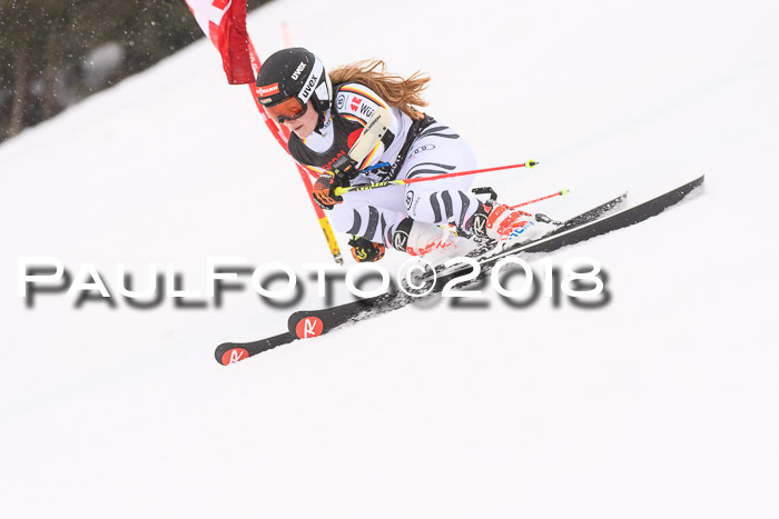 Int. FIS Rennen Damen, RS, Maria Alm 09.01.2018