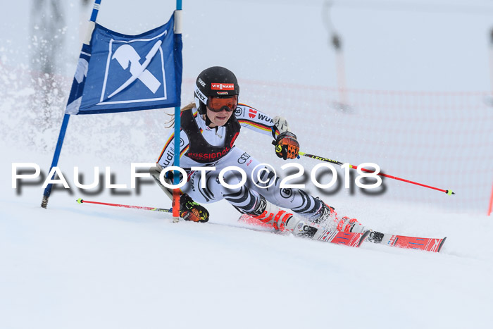 Int. FIS Rennen Damen, RS, Maria Alm 09.01.2018