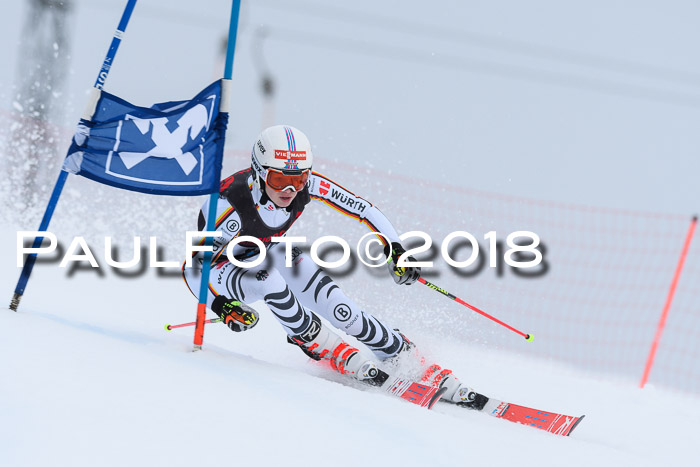 Int. FIS Rennen Damen, RS, Maria Alm 09.01.2018