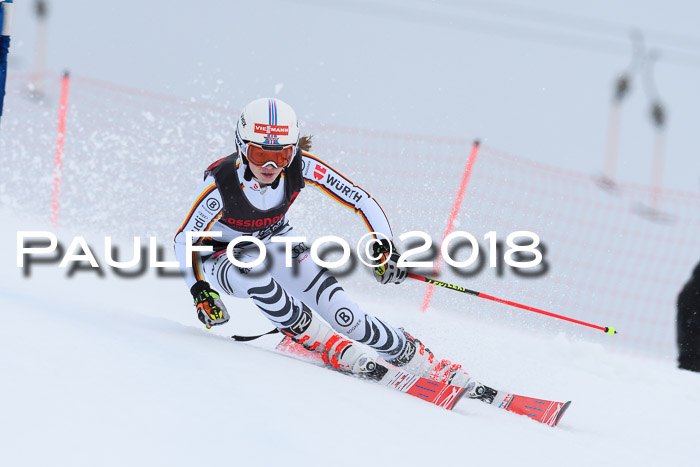 Int. FIS Rennen Damen, RS, Maria Alm 09.01.2018