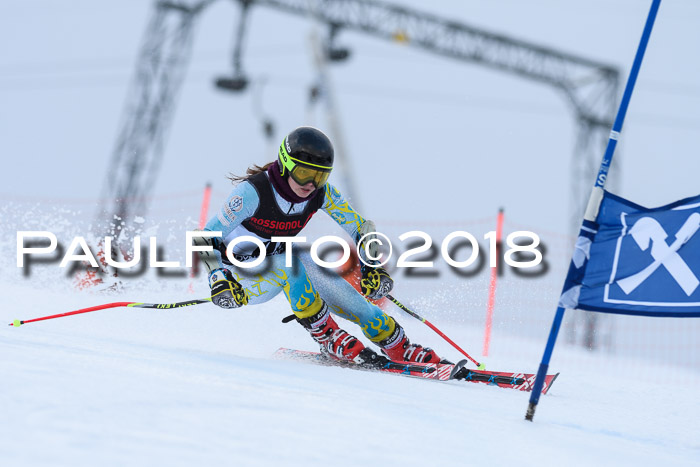 Int. FIS Rennen Damen, RS, Maria Alm 09.01.2018