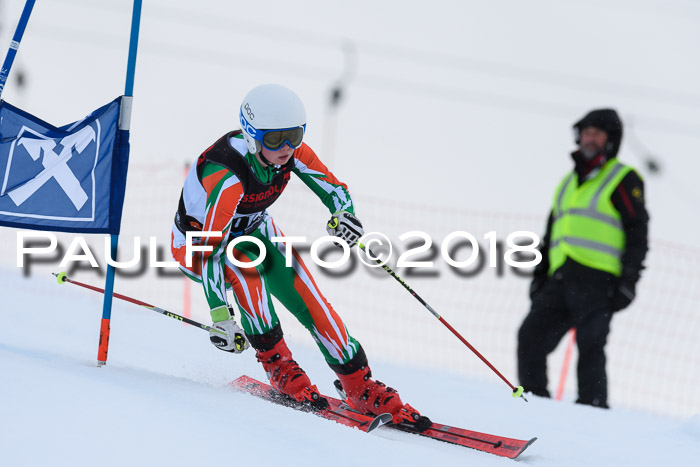 Int. FIS Rennen Damen, RS, Maria Alm 09.01.2018