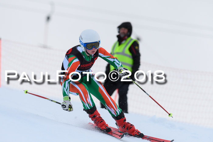 Int. FIS Rennen Damen, RS, Maria Alm 09.01.2018