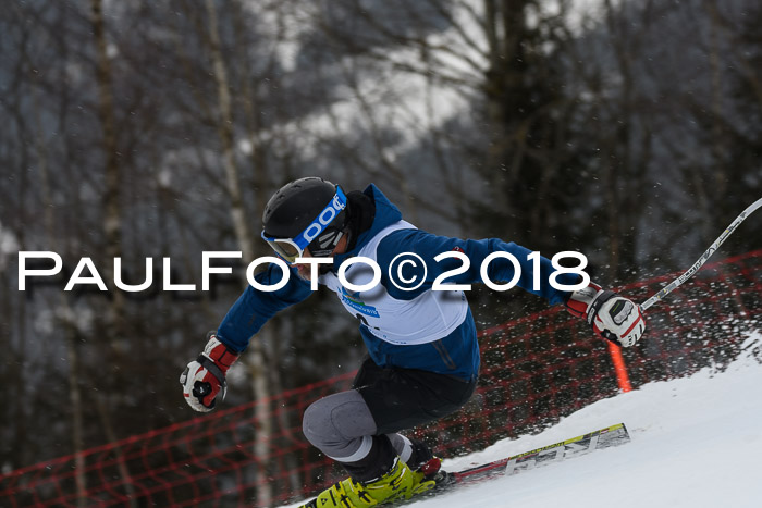 Int. FIS Rennen Damen, RS, Maria Alm 09.01.2018