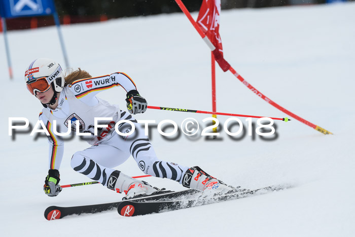 Int. FIS Rennen Damen, RS, Maria Alm 09.01.2018