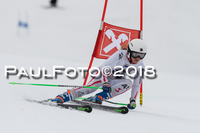 Int. FIS Rennen Damen, RS, Maria Alm 09.01.2018