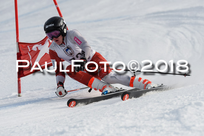 Int. FIS Rennen Herren, RS, Maria Alm 11.01.2018