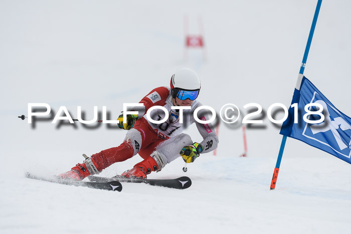 Int. FIS Rennen Herren, RS, Maria Alm 11.01.2018