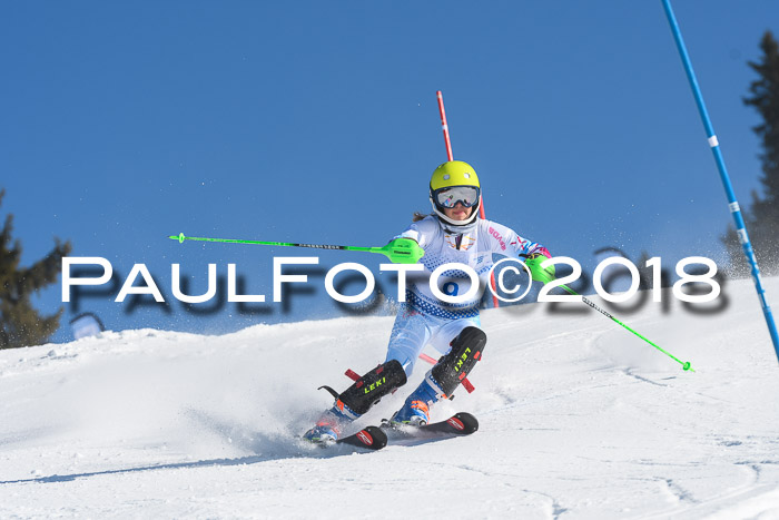 SVM U14/U16 Slalom 14.01.2018