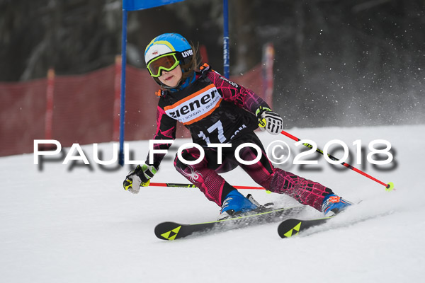 3. Ziener Cup RS