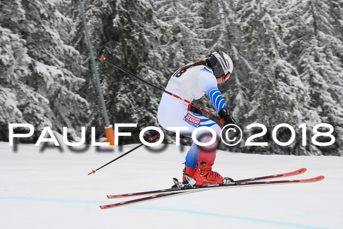 Int. FIS Rennen + NJC Damen, SG, Götschen, 22.02.2018