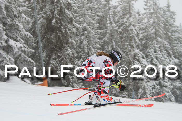 Int. FIS Rennen + NJC Damen, SG, Götschen, 22.02.2018