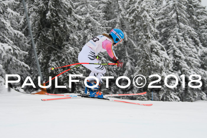 Int. FIS Rennen + NJC Damen, SG, Götschen, 22.02.2018