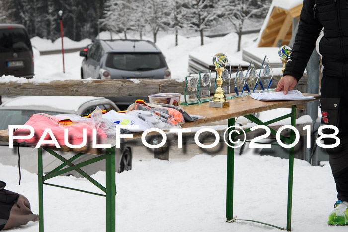 Int. FIS Rennen + NJC Damen, SG, Götschen, 22.02.2018