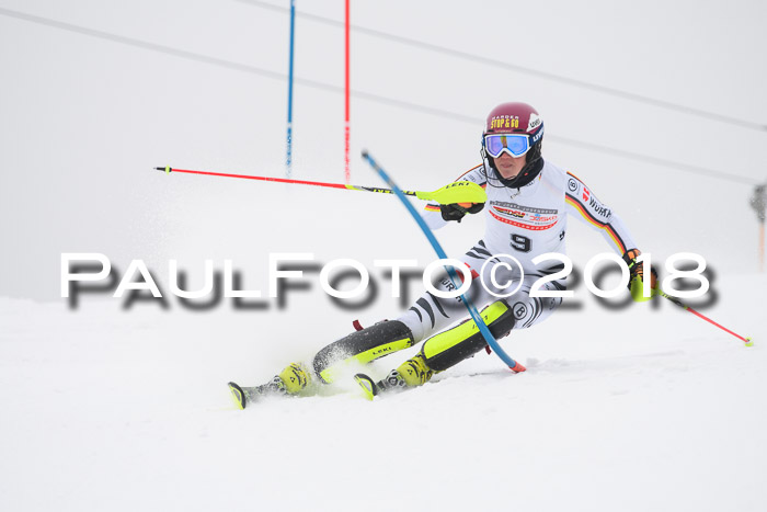 FIS Slalom Damen + Herren 23.02.2018