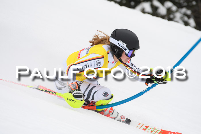 FIS Slalom Damen + Herren 23.02.2018