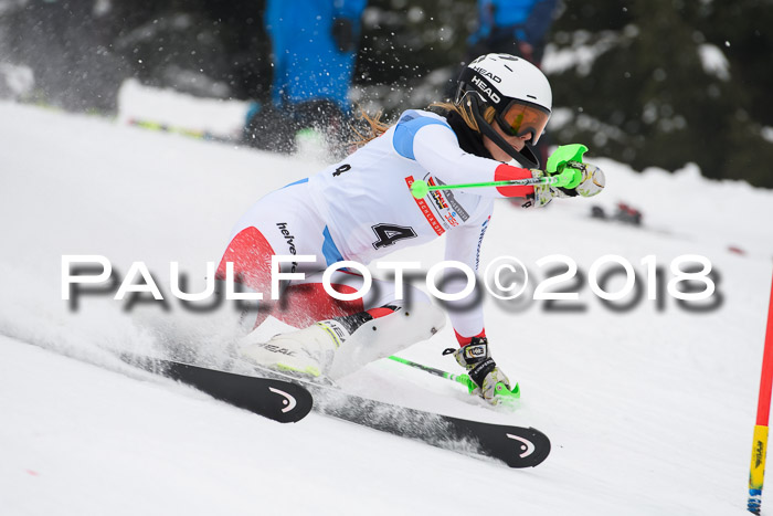 FIS Slalom Damen + Herren 23.02.2018