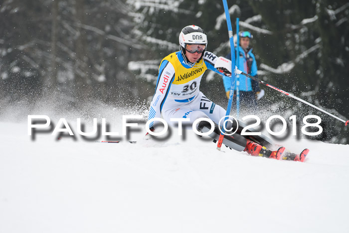 FIS Slalom Damen + Herren 23.02.2018
