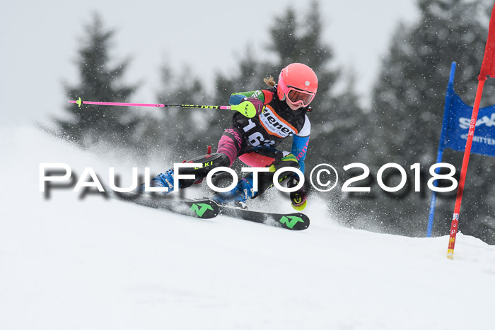 4. Ziener Cup WF, 25.02.2018