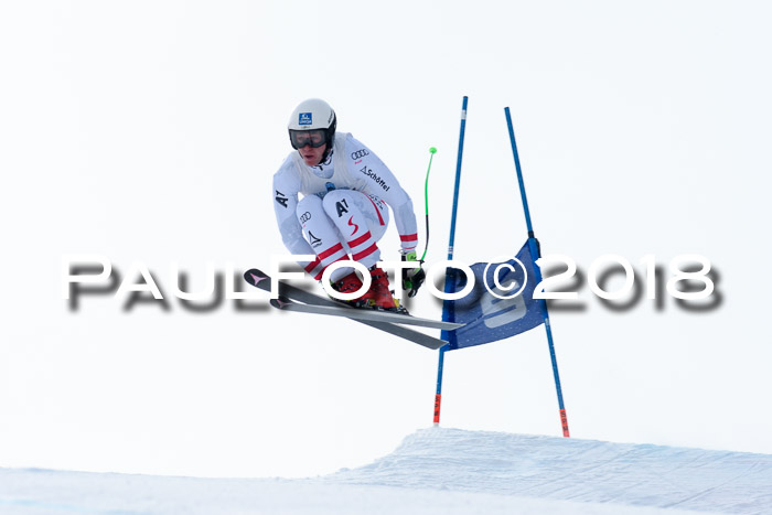 Int. FIS Rennen + NJC Herren, SG, Götschen, 26.02.2018