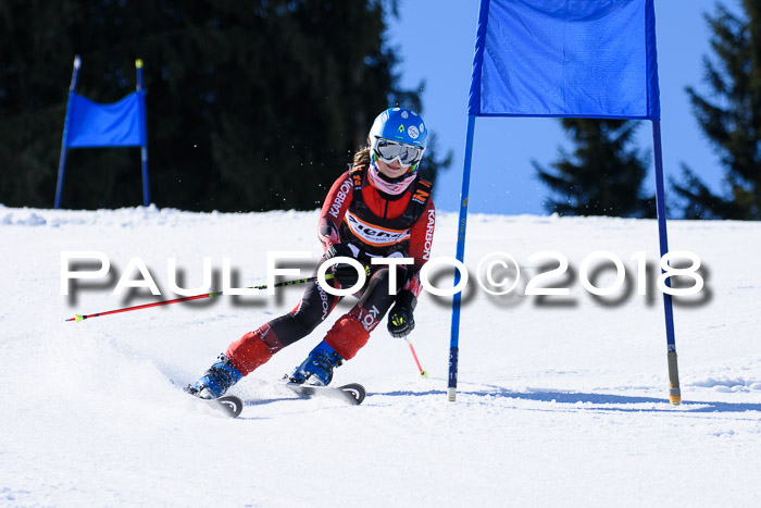 5. WF Ziener Cup + WFM, Steckenberg, 04.03.2018