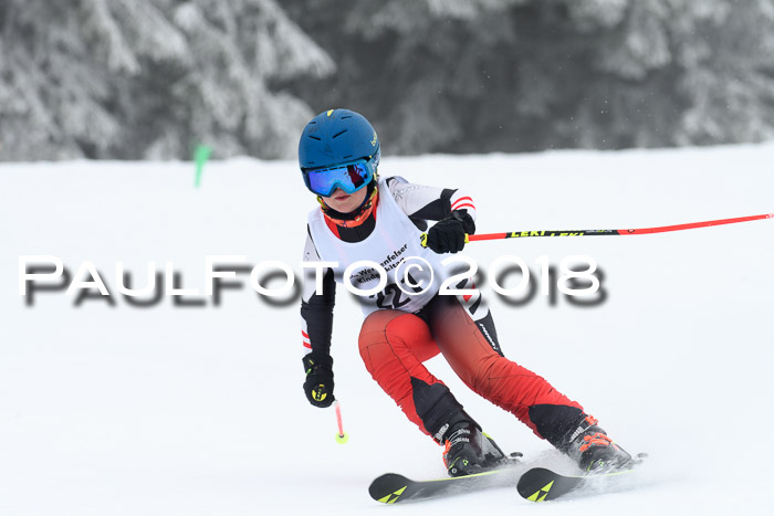 Werdenfelser Kinderskitag, Bambini +Kinder JG 2007, 18.03.2018