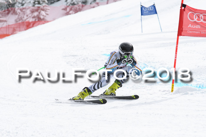 FIS, Int. Dt. Meisterschaft Super-G, NC,  Damen + Herren, 23.03.2018