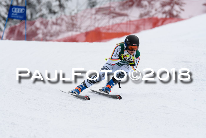 FIS, Int. Dt. Meisterschaft Super-G, NC,  Damen + Herren, 23.03.2018