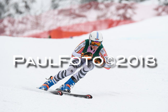 FIS, Int. Dt. Meisterschaft Super-G, NC,  Damen + Herren, 23.03.2018