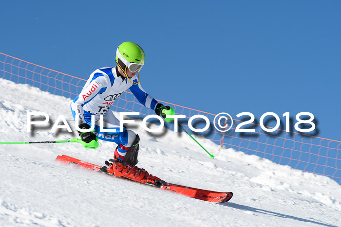 Int. Deutsche Meisterschaft Slalom 25.03.2018