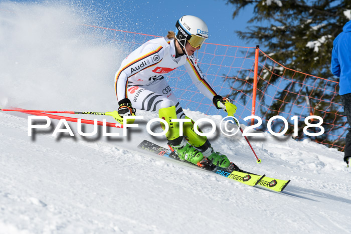 Int. Deutsche Meisterschaft Slalom 25.03.2018