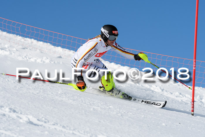 Int. Deutsche Meisterschaft Slalom 25.03.2018