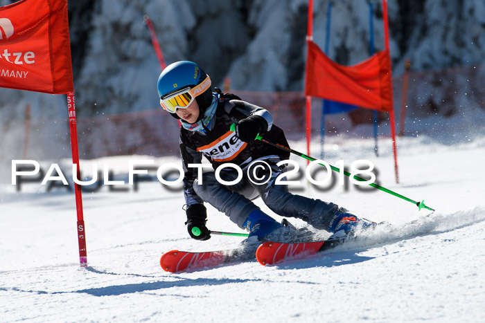 Ziener Cup WF, Finale, Quali + Parallelslalom, 24.03.2018