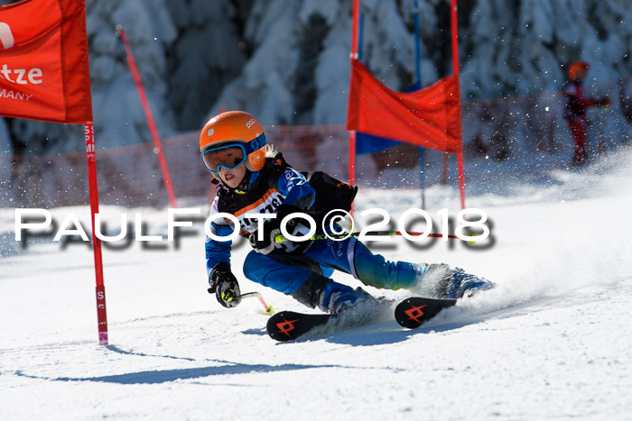 Ziener Cup WF, Finale, Quali + Parallelslalom, 24.03.2018