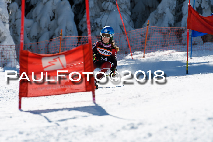 Ziener Cup WF, Finale, Quali + Parallelslalom, 24.03.2018