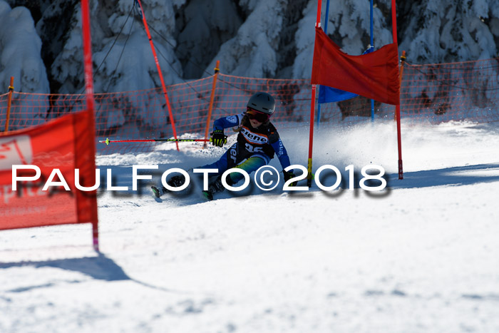 Ziener Cup WF, Finale, Quali + Parallelslalom, 24.03.2018