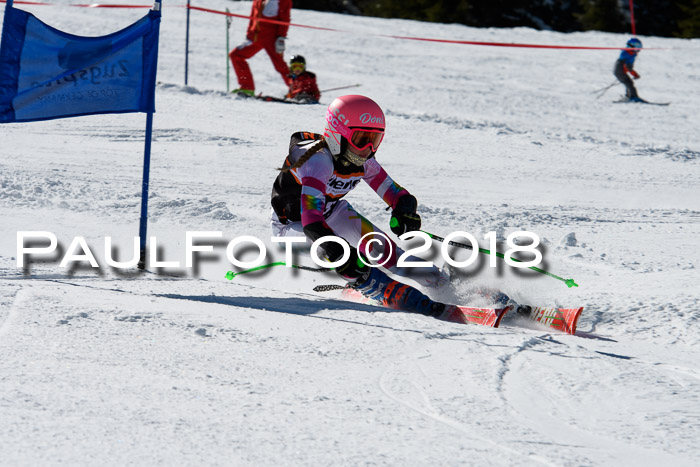 Ziener Cup WF, Finale, Quali + Parallelslalom, 24.03.2018