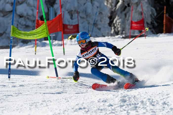 Ziener Cup WF, Finale, Quali + Parallelslalom, 24.03.2018