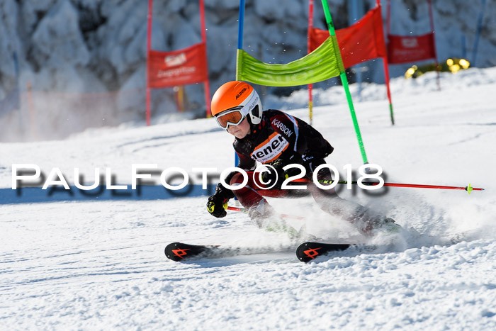 Ziener Cup WF, Finale, Quali + Parallelslalom, 24.03.2018