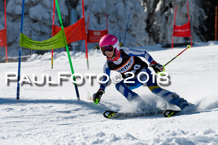 Ziener Cup WF, Finale, Quali + Parallelslalom, 24.03.2018