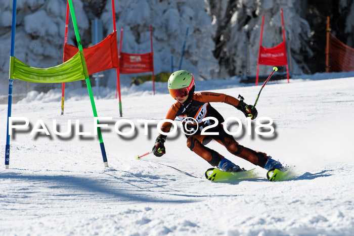 Ziener Cup WF, Finale, Quali + Parallelslalom, 24.03.2018