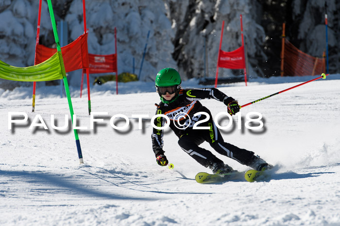 Ziener Cup WF, Finale, Quali + Parallelslalom, 24.03.2018