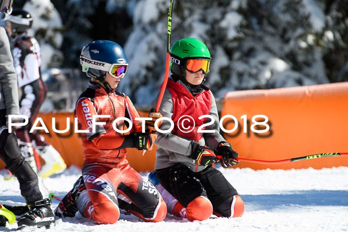 Ziener Cup WF, Finale, Quali + Parallelslalom, 24.03.2018