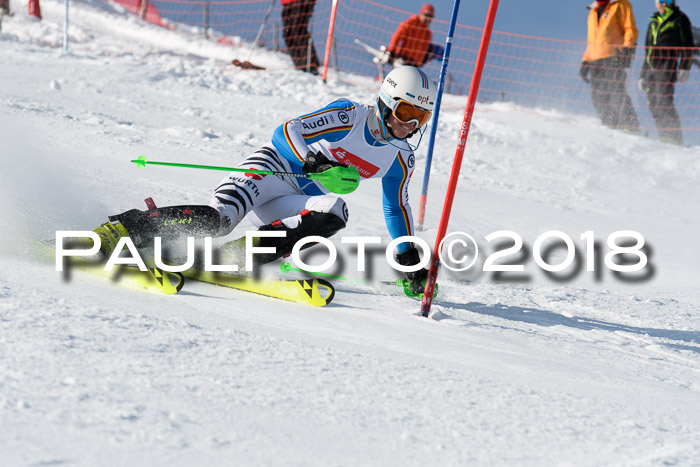 Int. Deutsche Meisterschaft Slalom Herren 25.03.2018